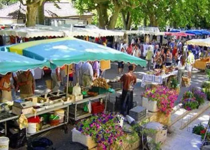 Magnifique 102 M2 Au Bord De L'eau Hyper Centre *